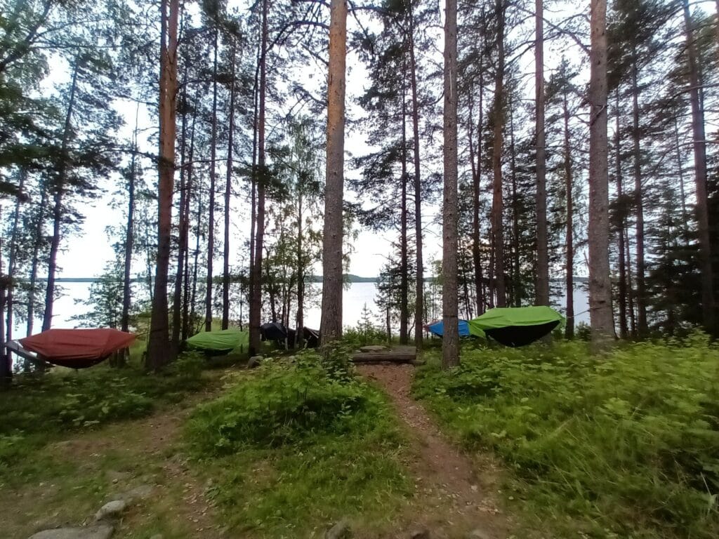 LIITO-ORAVIEN YÖRETKI 23.-24.8.2025 - Lue lisää