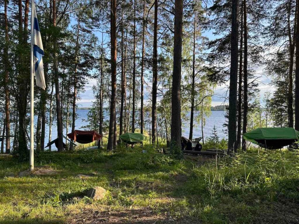 SEPELI 2.-3.6. - Lue lisää